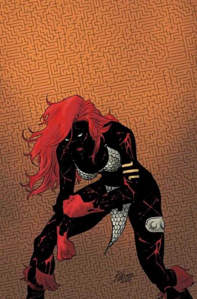 Red Sonja She Devil With A Sword #3 Cover O Inc 1:7 Pablo De Bonis Absolute Homage Full Art Variant