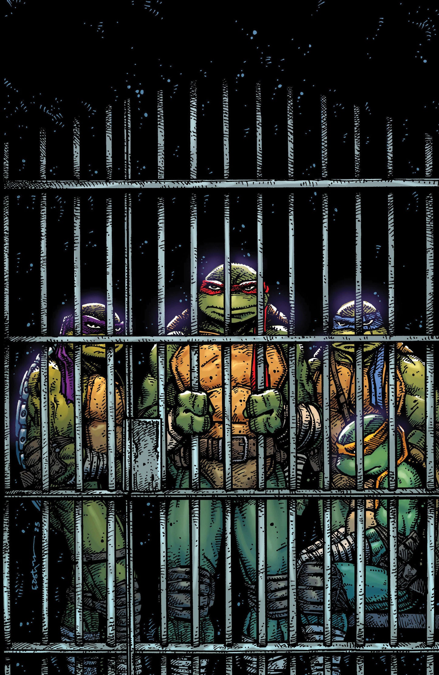 Teenage Mutant Ninja Turtles #11 1:10 Ratio Variant (Eastman Full Art)